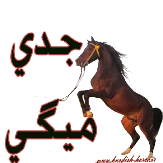 😳 emoji Kurdish horse Telegram sticker 16 of 45