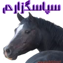 🙏 emoji Kurdish horse Telegram sticker 10 of 38