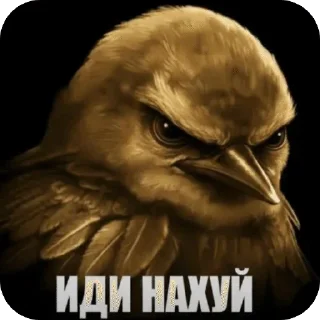 Sticker from Вряд ли —> @strikeers