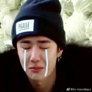 🤧 emoji Wang Yibo❤the king Telegram sticker 24 of 120
