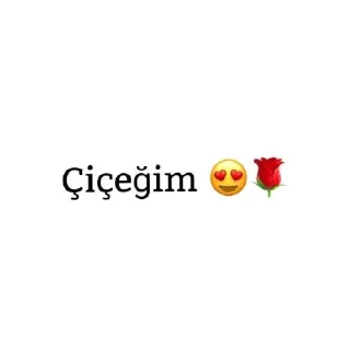 🌺 emoji @prenseserna✨🖤 Telegram sticker 13 of 48