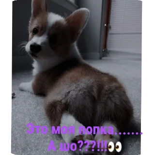 🐶 emoji Для друзей Telegram sticker 18 of 36
