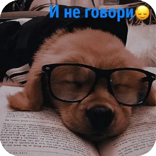 🤲 emoji Для друзей Telegram sticker 9 of 36