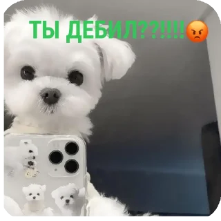 🐶 emoji Для друзей Telegram sticker 19 of 36