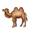 🐫 emoji This is the end... (@DMJ_Stickers) Telegram sticker 23 of 29