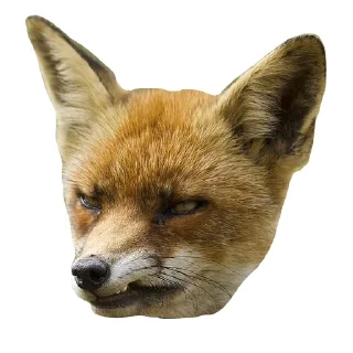 Sticker from Il Volpo