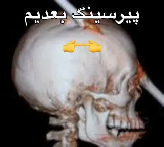⭐️ emoji نمیدانم.
@weeklyshitposting Telegram sticker 8 of 90