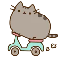 🚲 emoji Pusheen Telegram sticker 9 of 34