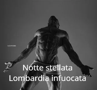 😎 emoji Proverbi dei Chad Telegram sticker 21 of 38