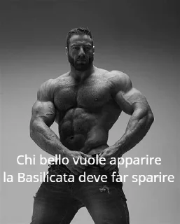 😎 emoji Proverbi dei Chad Telegram sticker 23 of 38