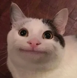 😐 emoji Il PACCO SECSY DI SHIRO Telegram sticker 22 of 50