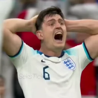 🧷 emoji World Cup @whiplashclub Telegram sticker 23 of 50
