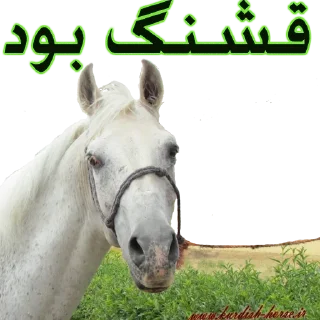 😉 emoji Kurdish horse Telegram sticker 20 of 45