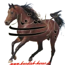 👏 emoji Kurdish horse Telegram sticker 15 of 38