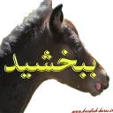 😜 emoji Kurdish horse Telegram sticker 6 of 38
