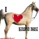 ❤ emoji Kurdish horse Telegram sticker 19 of 38