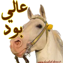 👌 emoji Kurdish horse Telegram sticker 16 of 38
