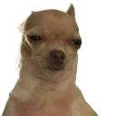 😒 emoji Mozh daily ✨ Telegram sticker 17 of 120