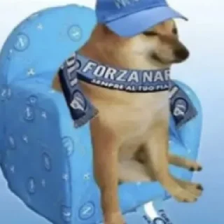 Sticker from forza napoli