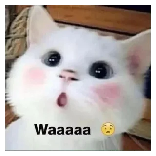 🙀 emoji Cereal 🥣 Telegram sticker 24 of 48