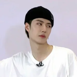 😐 emoji Wang Yibo❤the king Telegram sticker 7 of 120