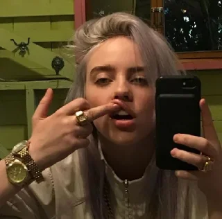 🚯 emoji -billie eilish• Telegram sticker 18 of 77