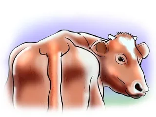 🐮 emoji I preferiti di Marviglio Telegram sticker 19 of 40
