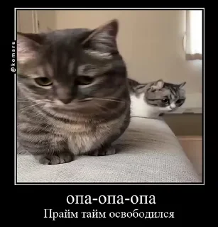 🌟 emoji Lounge | Ветка креативов Telegram sticker 18 of 92