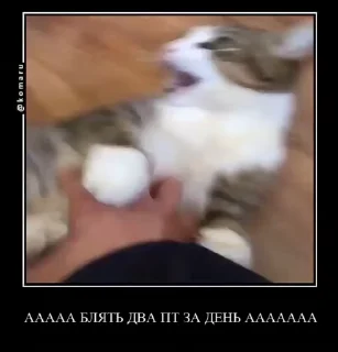 🌟 emoji Lounge | Ветка креативов Telegram sticker 22 of 92