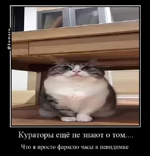 🌟 emoji Lounge | Ветка креативов Telegram sticker 9 of 92