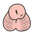 Sticker from Sepi animated pack v2