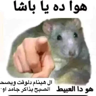 Sticker from Abo Salah