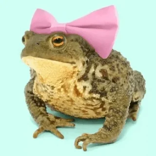 🐸 emoji ZHABKI — @stckrRobot Telegram sticker 3 of 102
