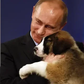 🥰 emoji Больше стикеров → @funny_stickerss Telegram sticker 19 of 49