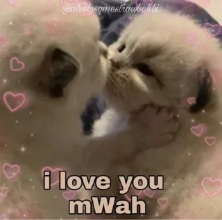 ♥️ emoji 🌸  𝙷𝙴𝚁𝙻𝙸𝙽 @CAT_O3 🌸 Telegram sticker 3 of 120