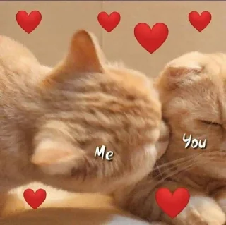 🥰 emoji 🌸  𝙷𝙴𝚁𝙻𝙸𝙽 @CAT_O3 🌸 Telegram sticker 4 of 120