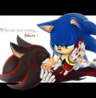 Sticker from 𖤐 Shadow the Hedgehog @BarbieBoySwag
