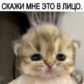🤨 emoji The youngest is your shirt ins Telegram sticker 10 of 54