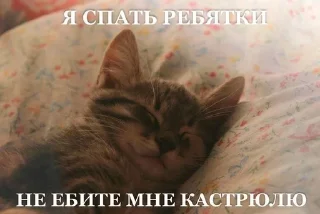 😴 emoji The youngest is your shirt ins Telegram sticker 9 of 54