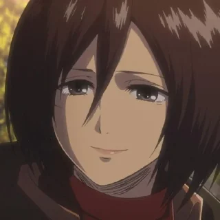 Sticker from Mikasa
