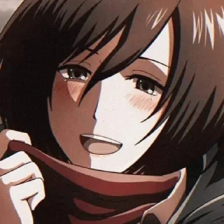 Sticker from Mikasa