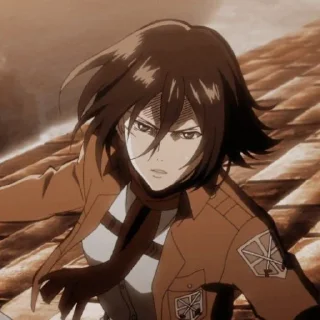 Sticker from Mikasa
