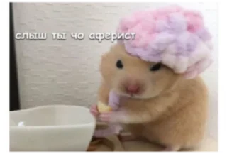 Sticker from очко бабки