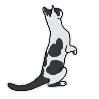Sticker from Q U A R Z O