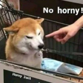 😡 emoji Bonk no horny @sorcerer_king Telegram sticker 1 of 38