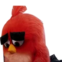 Sticker from Angry Birds