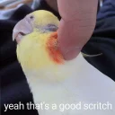 ❤ emoji Birds alright. Telegram sticker 22 of 64