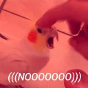 💔 emoji Birds alright. Telegram sticker 23 of 64