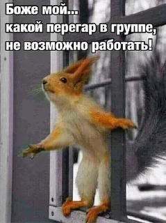 Sticker from Всякая хрень от @EspressoPatronuum
