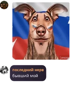 🇹🇫 emoji Чапаевская Дивизия/РКГ(б)☭ pack by @QuotLyBot Telegram sticker 20 of 55